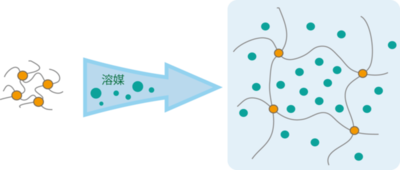 図1.高分子ゲル（膨潤）模式図